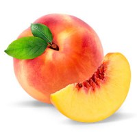 pesche
